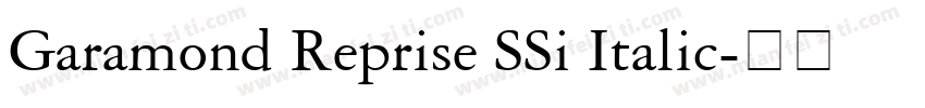 Garamond Reprise SSi Italic字体转换